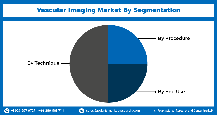 Vascular Imaging Market Seg